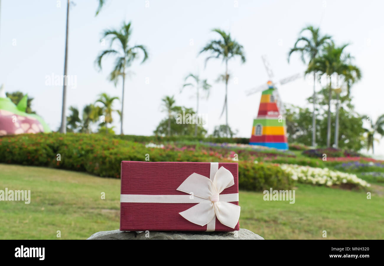 Boîte-cadeau sur roue éolienne floue et fleur, Banque D'Images