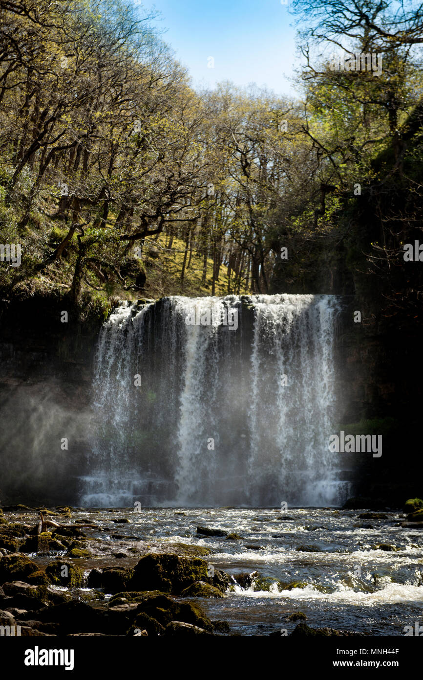 Les quatre cascades à pied près de Pontneddfechan dans les Brecon Beacons - le l'Sgwd yr Eira falls (chutes de neige) sur le fleuve Hepste Banque D'Images