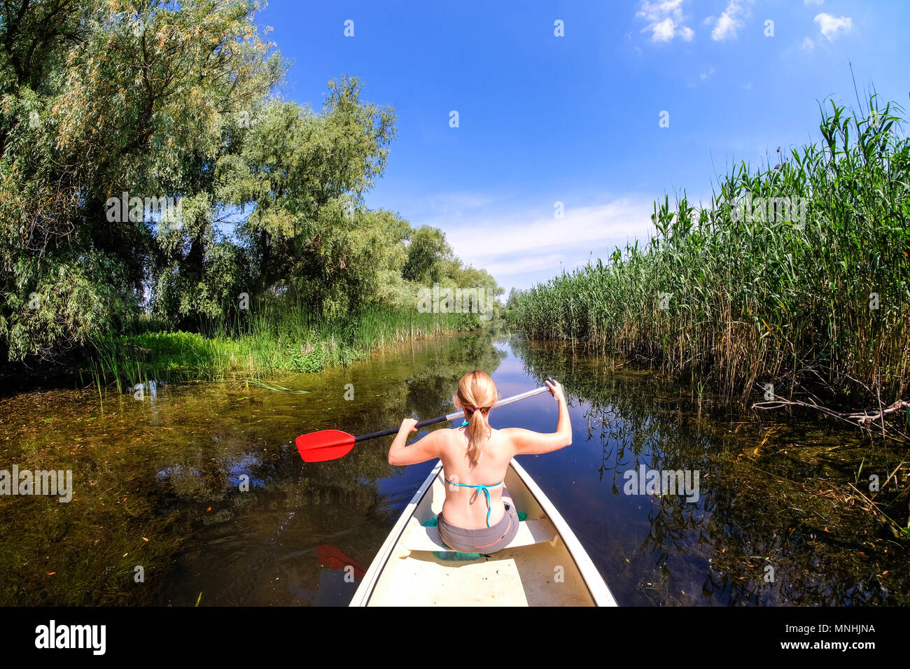 Femme dans le Delta du Danube à satellite en bateau Banque D'Images