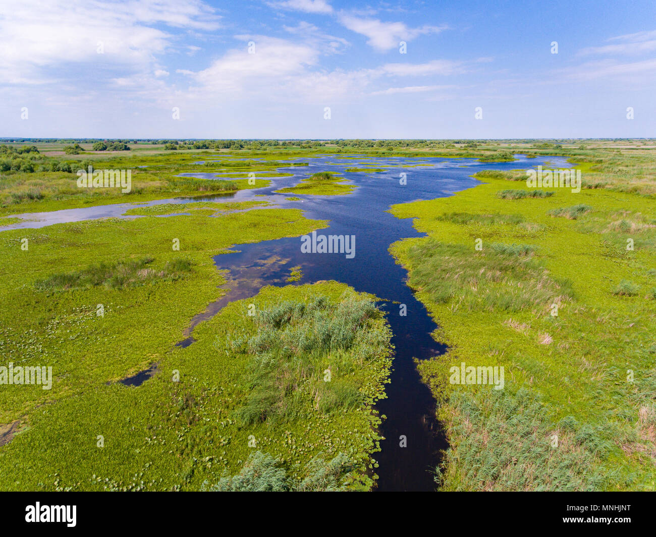 d-couvrir-la-roumanie-delta-du-danube-banque-de-photographies-et-d