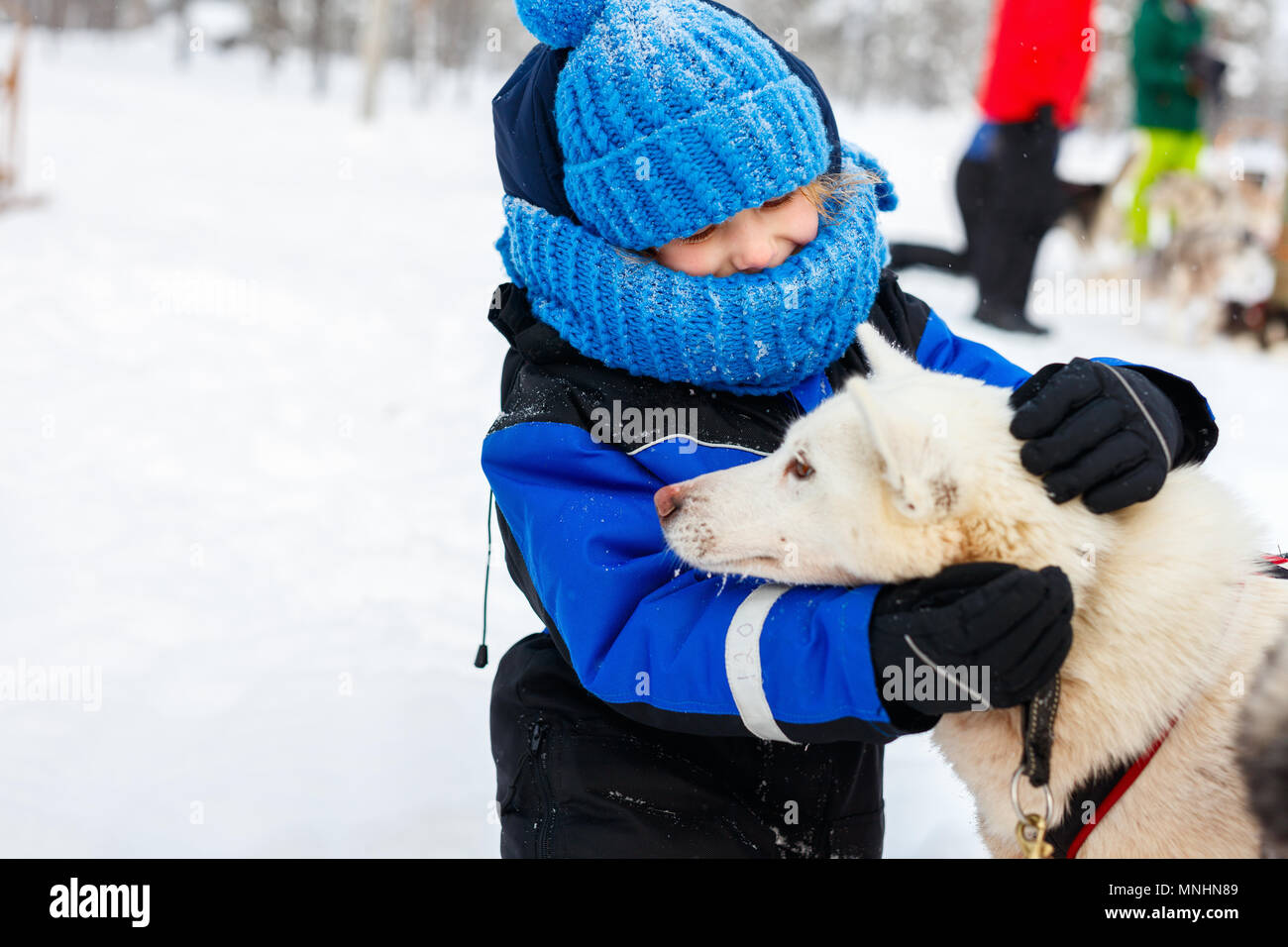 Adorable petite fille d'avoir un câlin avec husky chien de traineau en Laponie, Finlande Banque D'Images