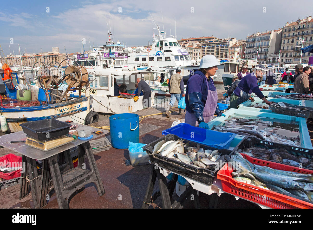 La vente du poisson pêcheur dans le port Vieux Port, Marseille, Bouches-du-Rhône, Provence-Alpes-Côte d'Azur, France Sud, France, Europe Banque D'Images