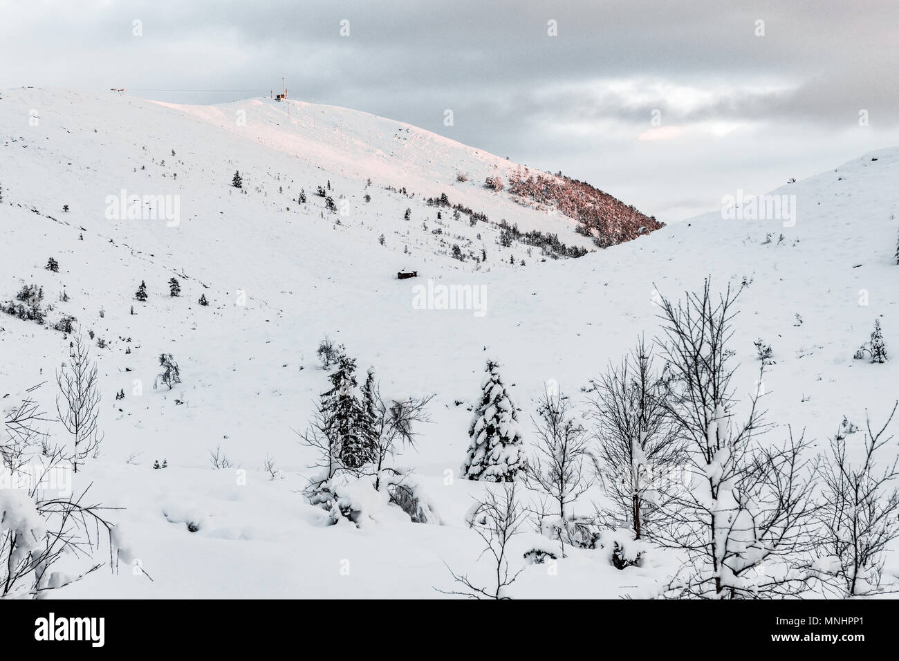 Paysage de neige, près de Volda Ørsta (Norvège) Banque D'Images