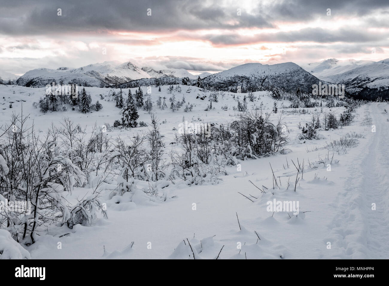 Paysage de neige, près de Volda Ørsta (Norvège) Banque D'Images