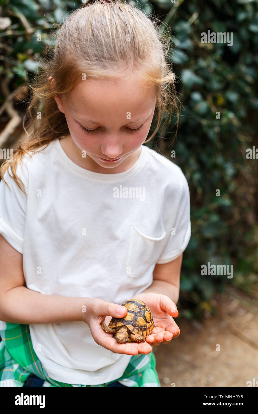 Portrait of cute little girl holding baby tortue Banque D'Images