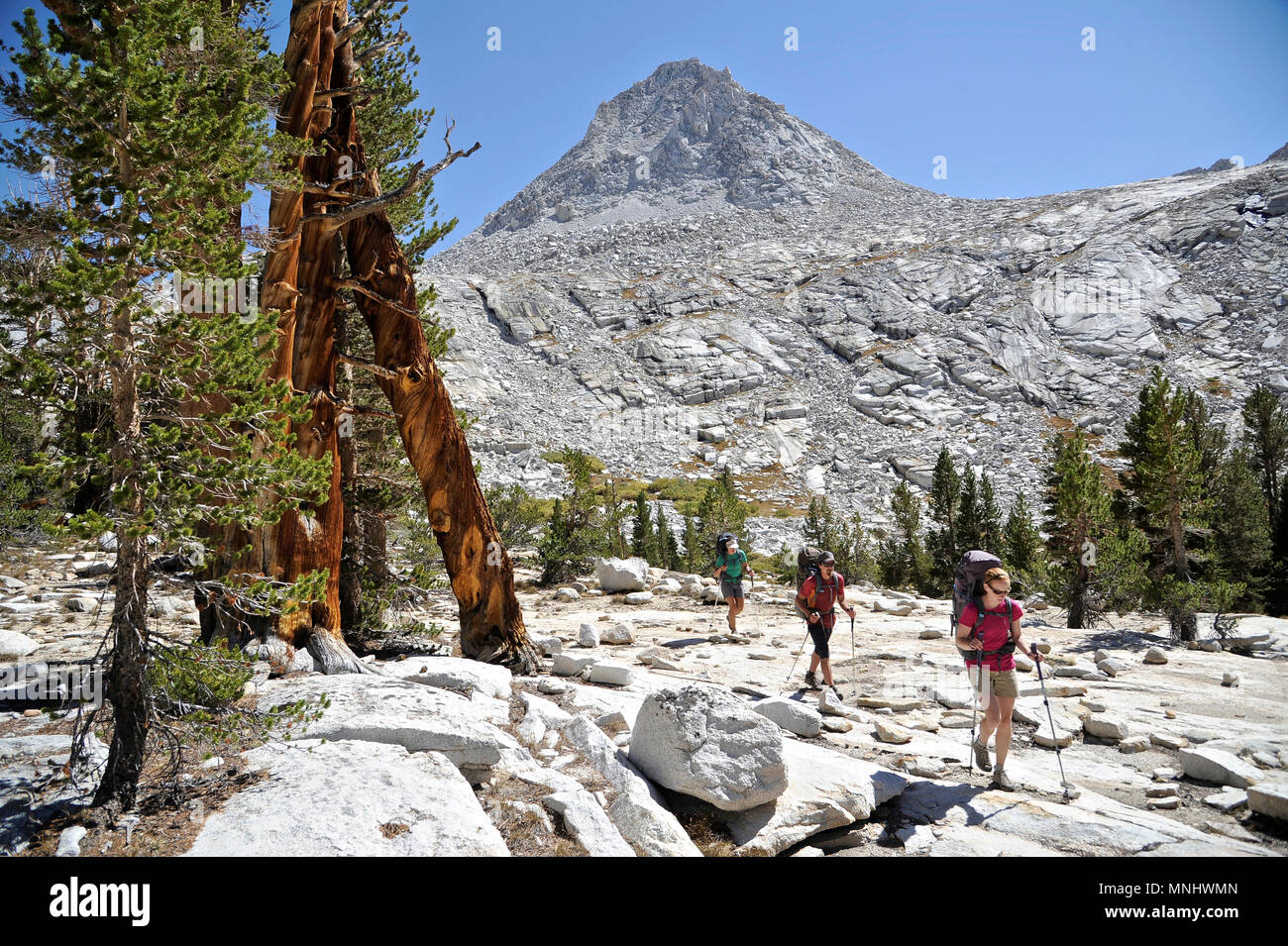 Backpackers randonnée jusqu'Mills Creek Valley sur un trek de deux semaines de la Haute Route dans la Sierra John Muir Wilderness en Californie. La route de 200 milles environ en parallèle avec le John Muir Trail populaire à travers la Sierra Nevada de Californie Plage de Kings Canyon National Park Le Parc National de Yosemite. Banque D'Images