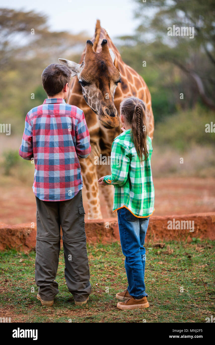 Enfants frère et soeur nourrir les girafes en Afrique Banque D'Images