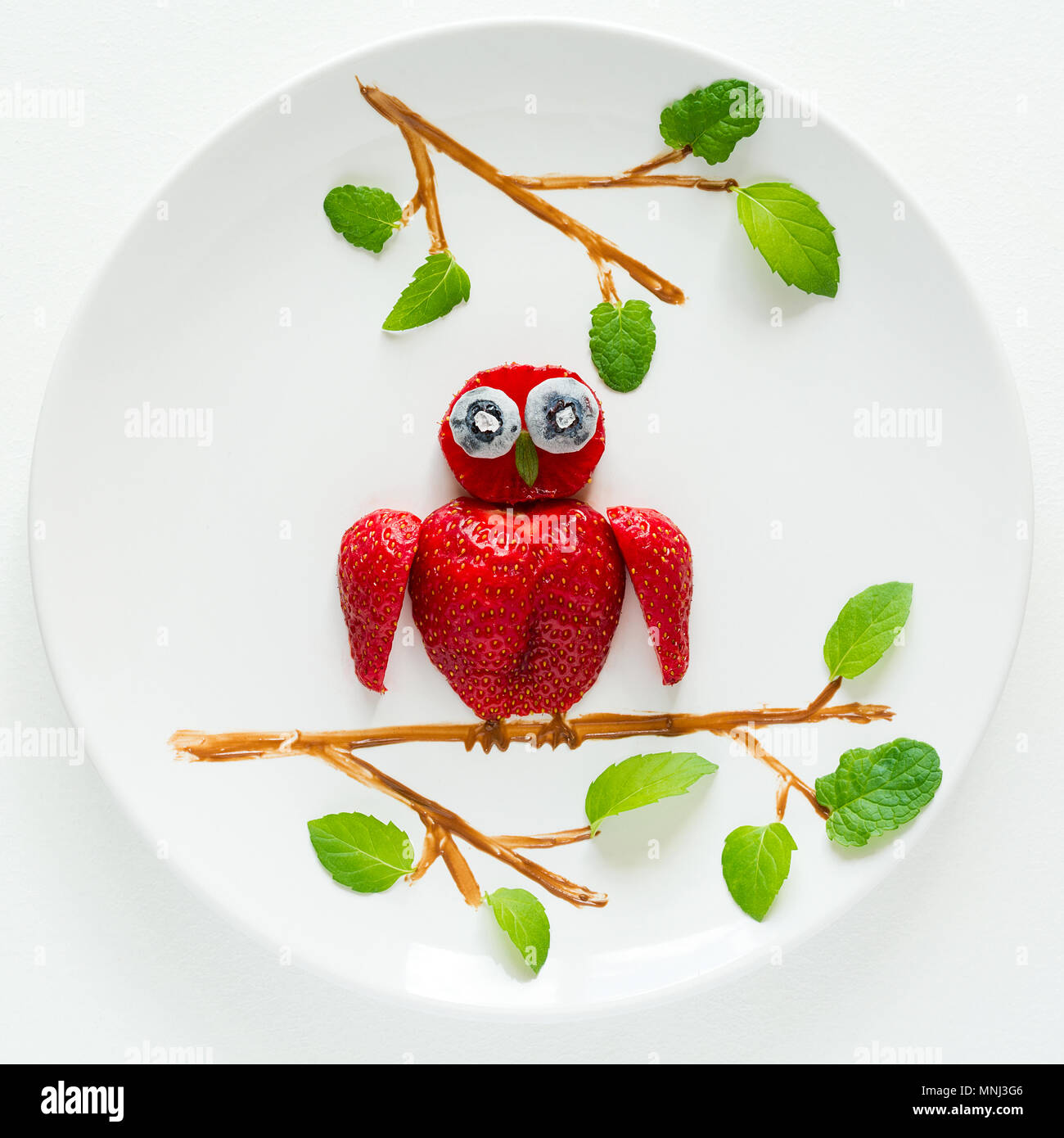 Art alimentaire concept créatif. Les hiboux assis sur une branche. Fraise, myrtille, chocolat, menthe composition. Vue d'en haut. Banque D'Images