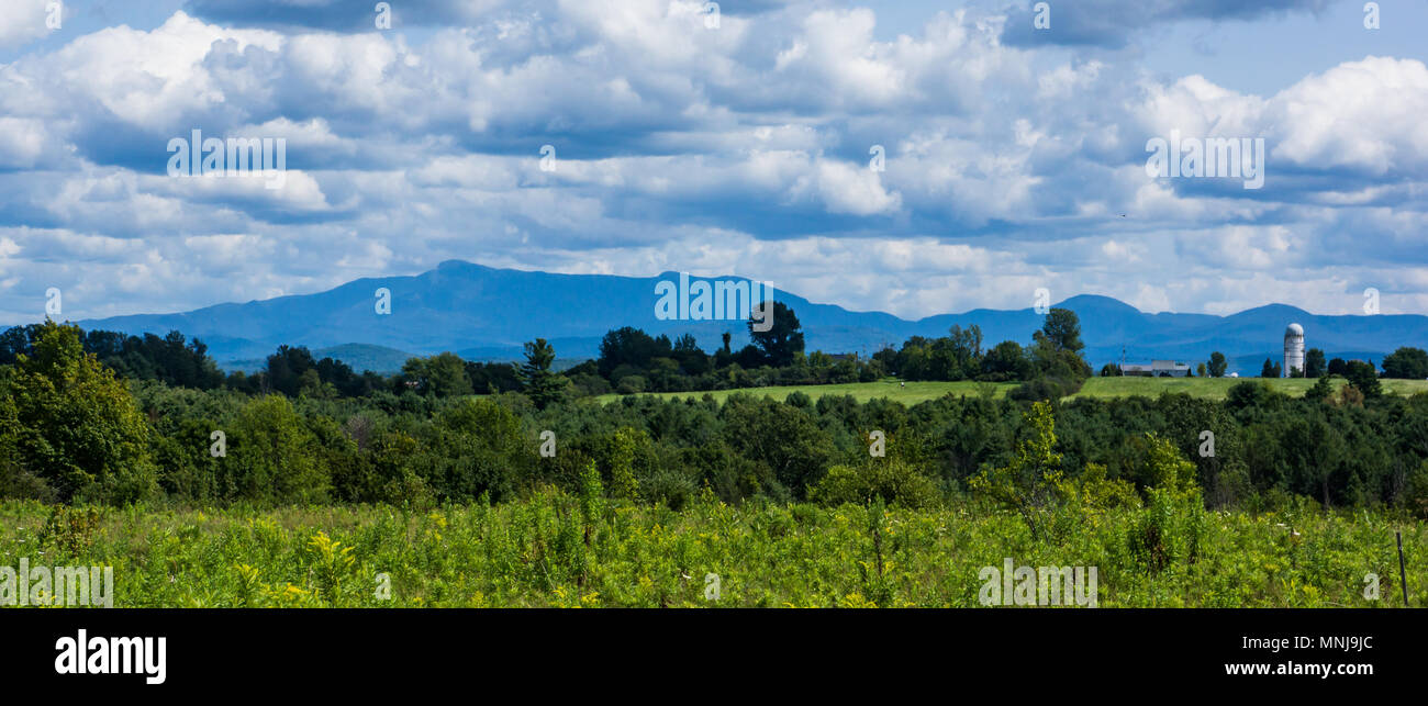 Vue sur les montagnes Vertes du Vermont en été Banque D'Images