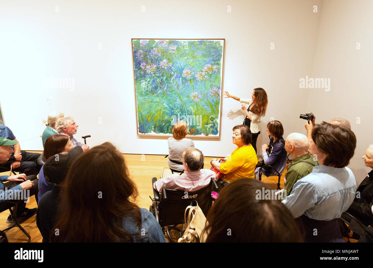 Les visiteurs à la recherche d'un tableau de Claude Monet, Agapanthus, Musée d'Art Moderne (MoMA), New York City USA Banque D'Images