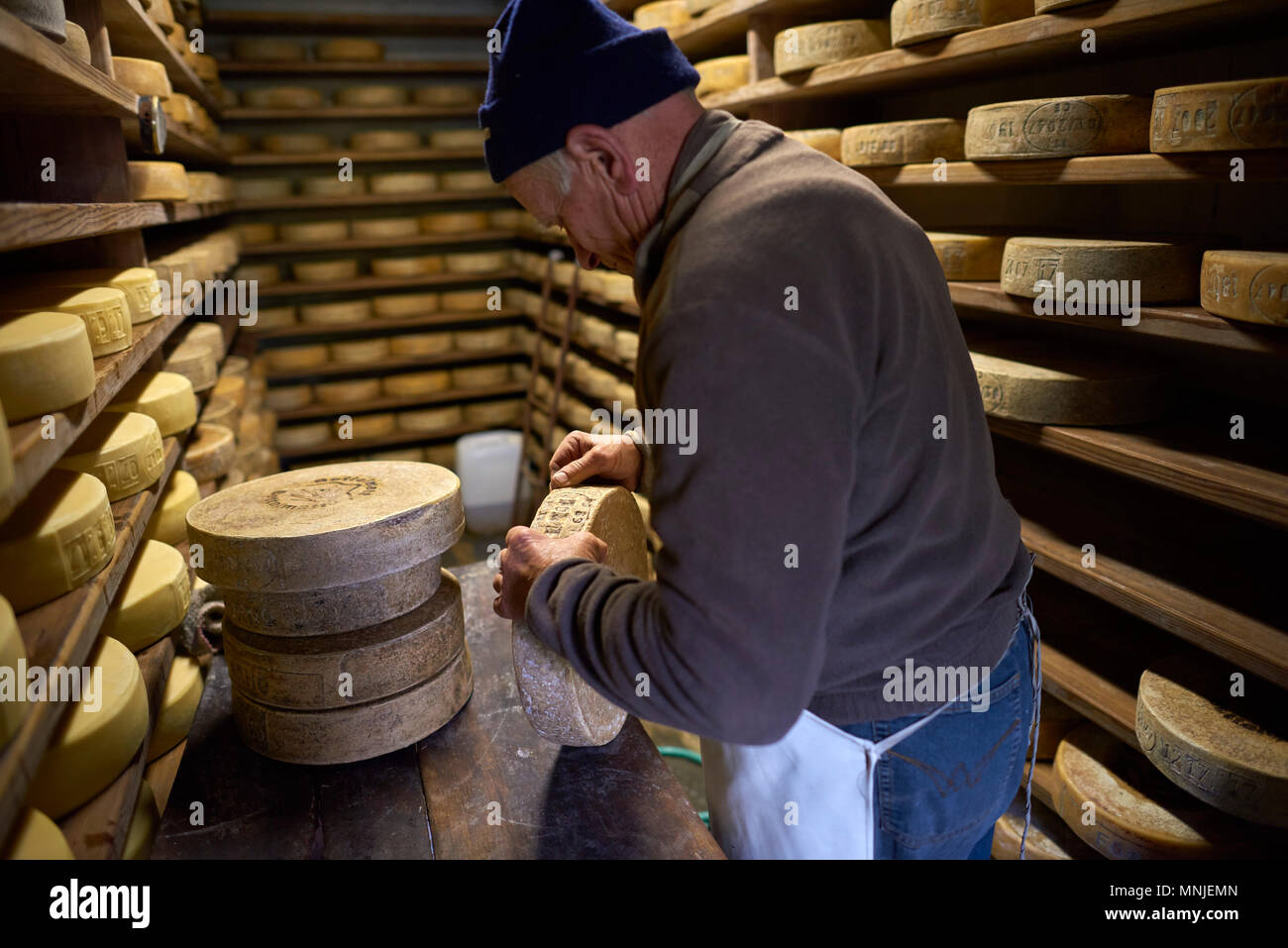 Personne qui fait du fromage de haute qualité, Alpe Devero, Verbania, Italie Banque D'Images