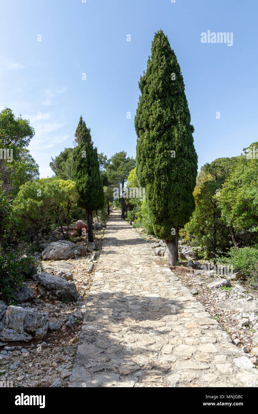 Le chemin du Paradis sur l'île de Lokrum, dans la mer Adriatique au large de Dubrovnik, Croatie. Banque D'Images