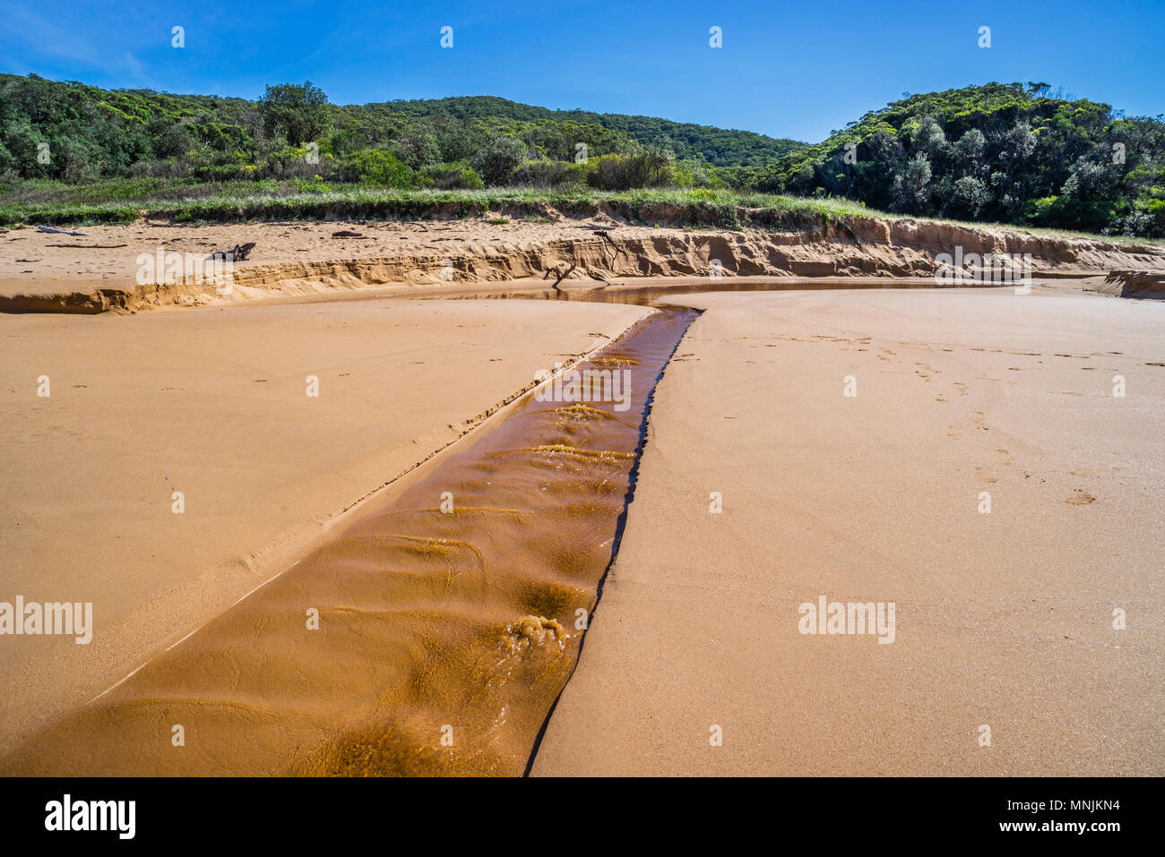 Le débordement de la Maitland Bay Lagoon forme un ruisseau en face de la plage, Bouddi National Park, Central Coast, New South Wales, Australie Banque D'Images