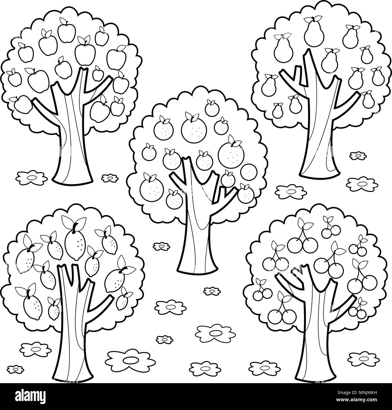 Les arbres fruitiers. Livre de coloriage noir et blanc la page Illustration de Vecteur