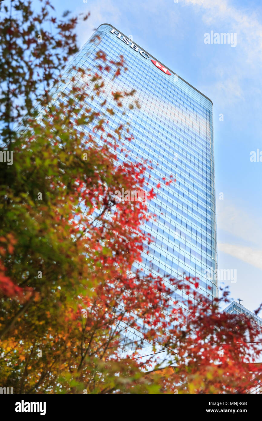 La Banque HSBC Canary Wharf Londres siège à 8 Canada Square, voir jusqu'à ciel bleu avec des arbres d'automne, London, UK Banque D'Images