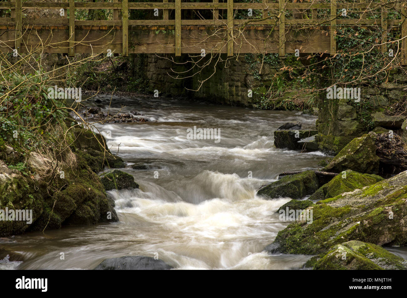 Un barrage sur l'Afon Cefni à Llangefni Dingle Banque D'Images