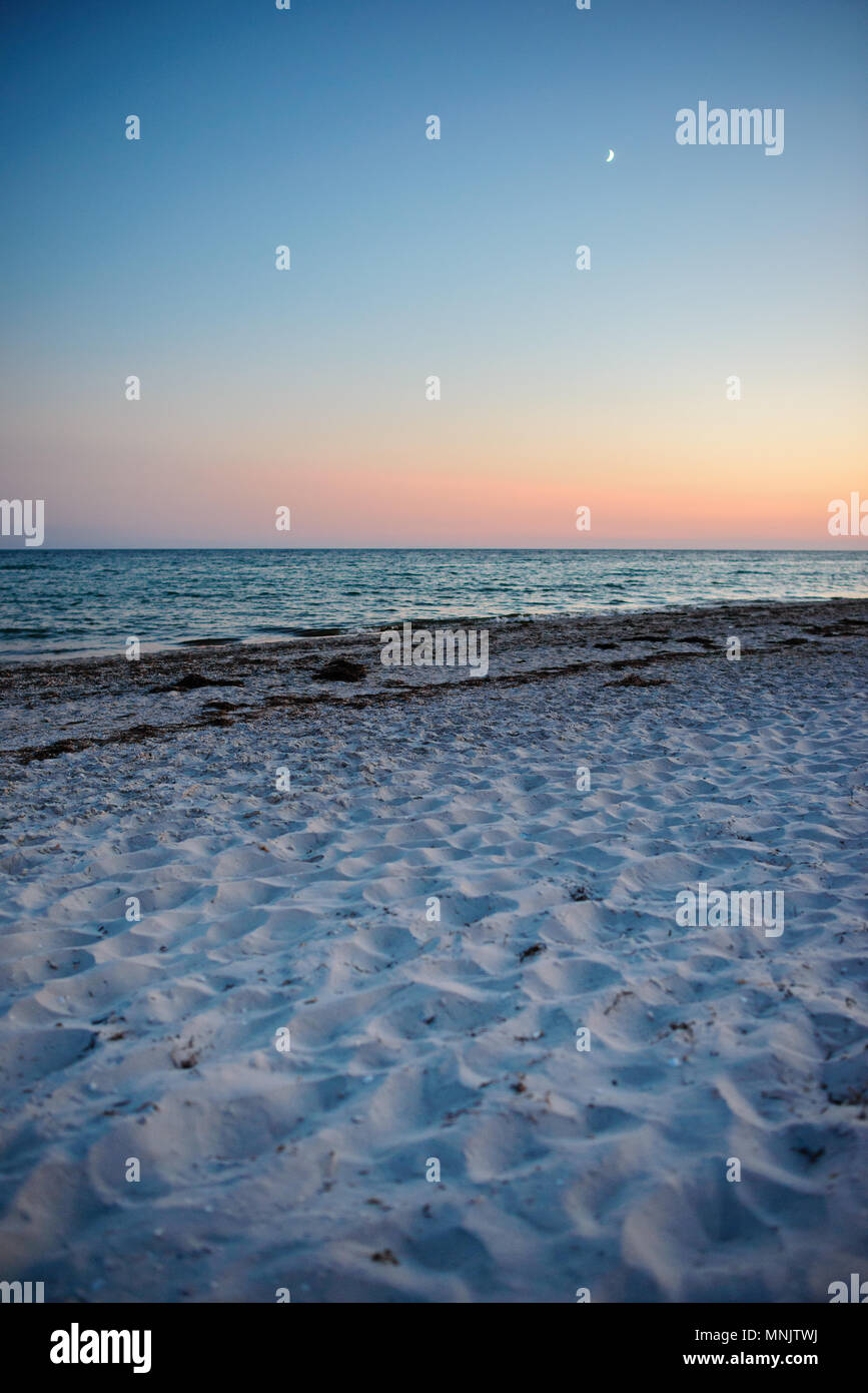 Une plage sauvage et un pigeon l'eau de mer sur une belle journée ensoleillée. Banque D'Images