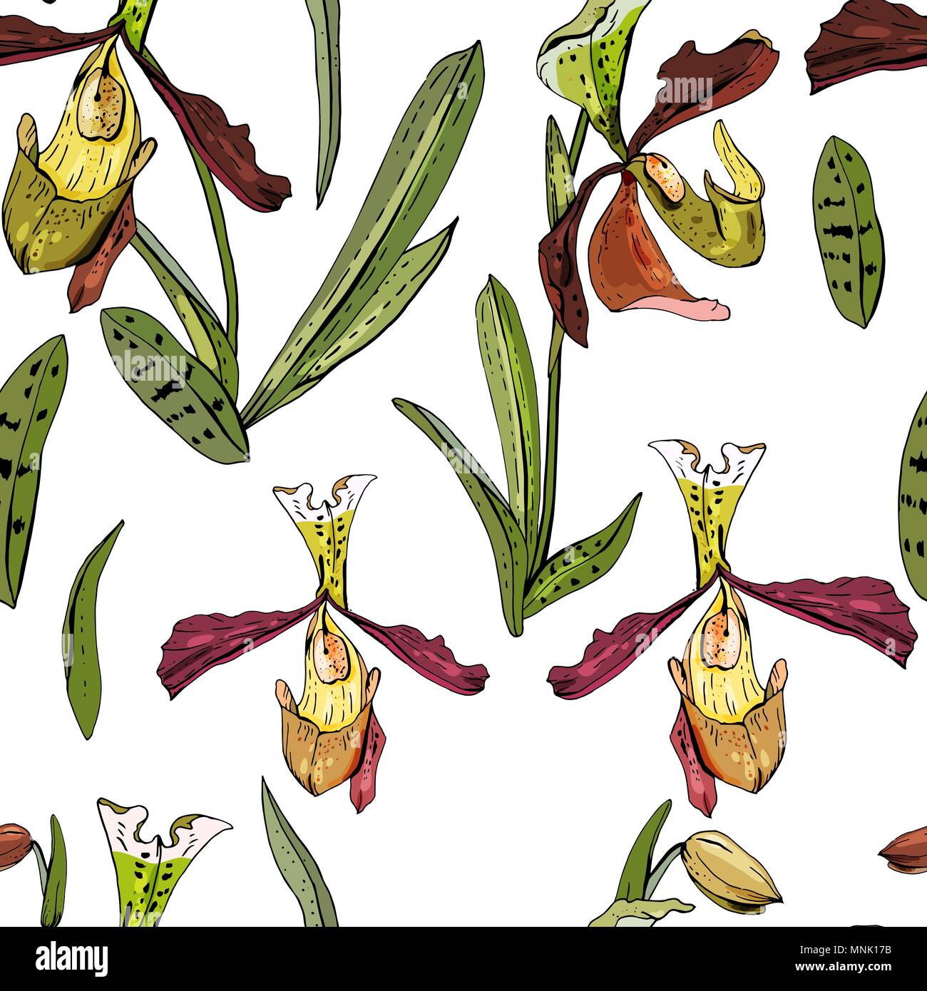 Modèle sans couture avec de belles orchidées exotiques. Illustration de Vecteur