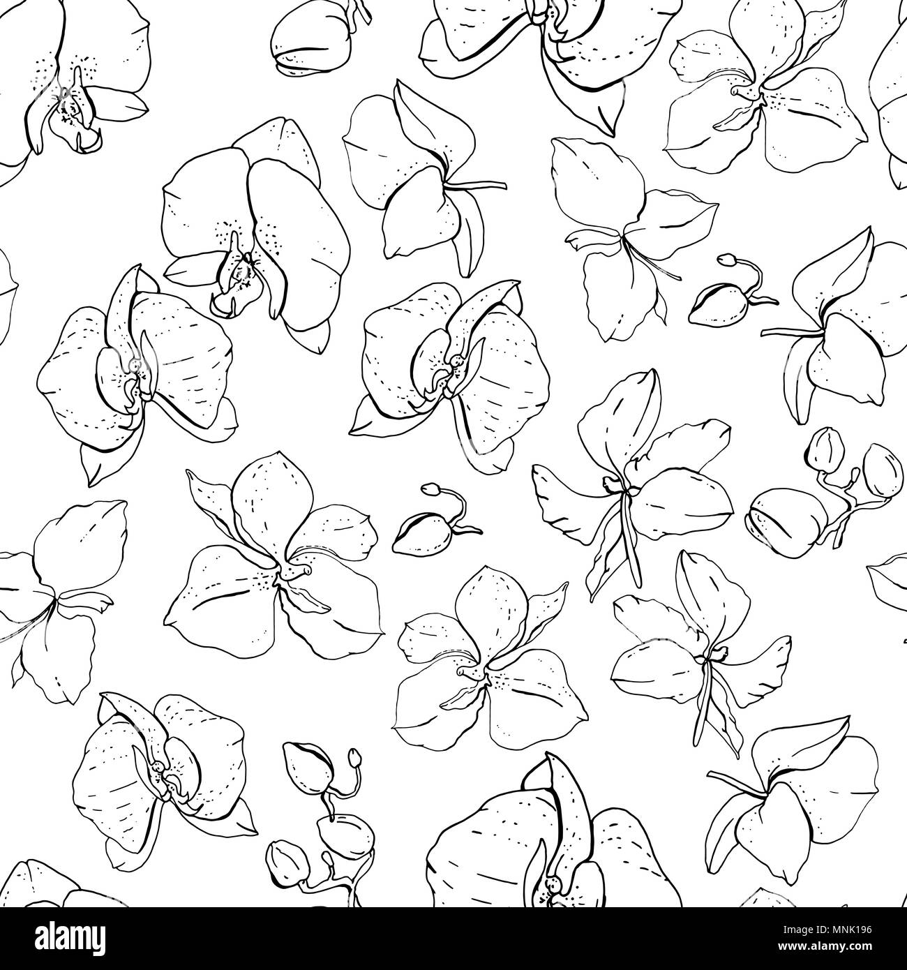 Motif florale avec fleurs romantique. Illustration de Vecteur