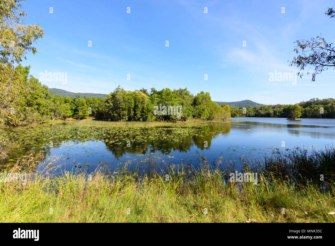 View of scenic Cattana les Zones Humides, a réhabilité la conservation de la nature park à Smithfield, près de Cairns, l'extrême nord du Queensland, Australie, Queensland, FNQ Banque D'Images View of scenic Cattana les Zones Humides, a réhabilité la conservation de la nature park à Smithfield, près de Cairns, l'extrême nord du Queensland, Australie, Queensland, FNQ Banque D'Images
