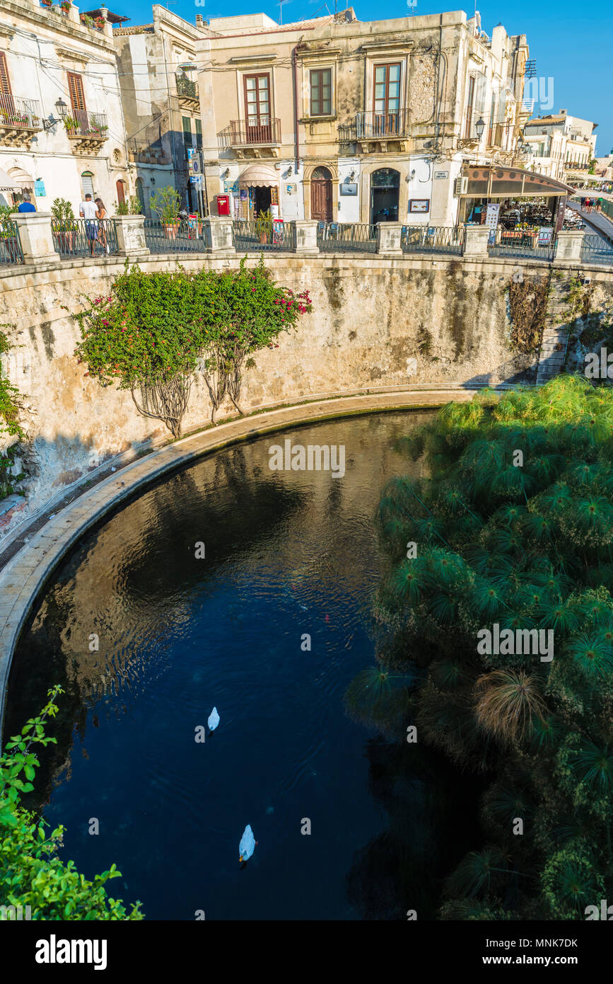 Promenade et fontaine de Arethusa ( Fonte Aretusa) avec les gens autour de la vieille ville de la ville historique de Syracuse en Sicile, Italie Banque D'Images