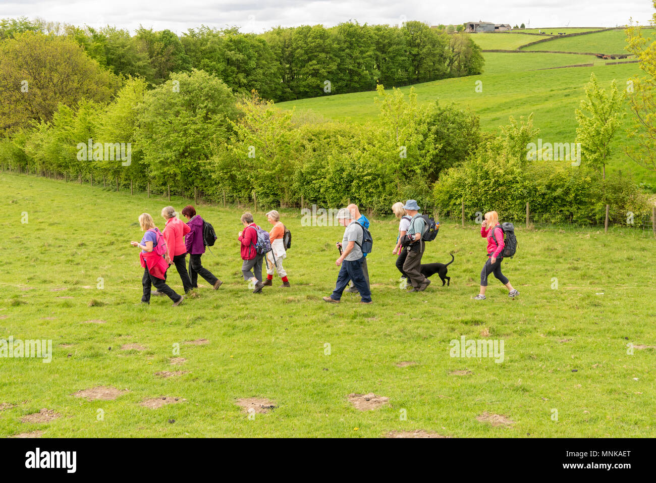 Un groupe de personnes marchant dans la campagne du Yorkshire UK au printemps Banque D'Images