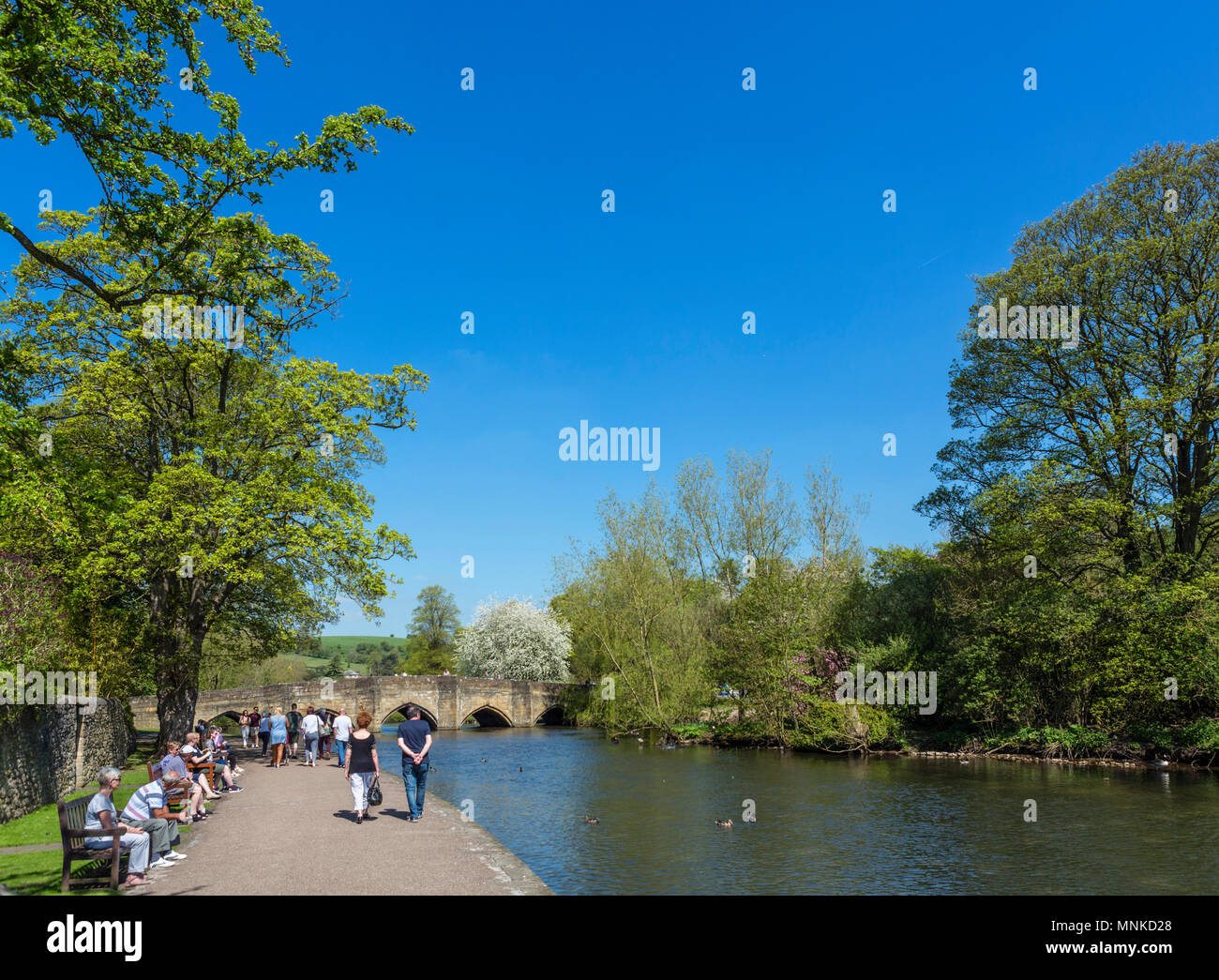 Les Jardins de la rivière à la recherche historique vers le 13ème siècle pont sur la rivière Wye, Bakewell, Derbyshire, Angleterre, RU Banque D'Images