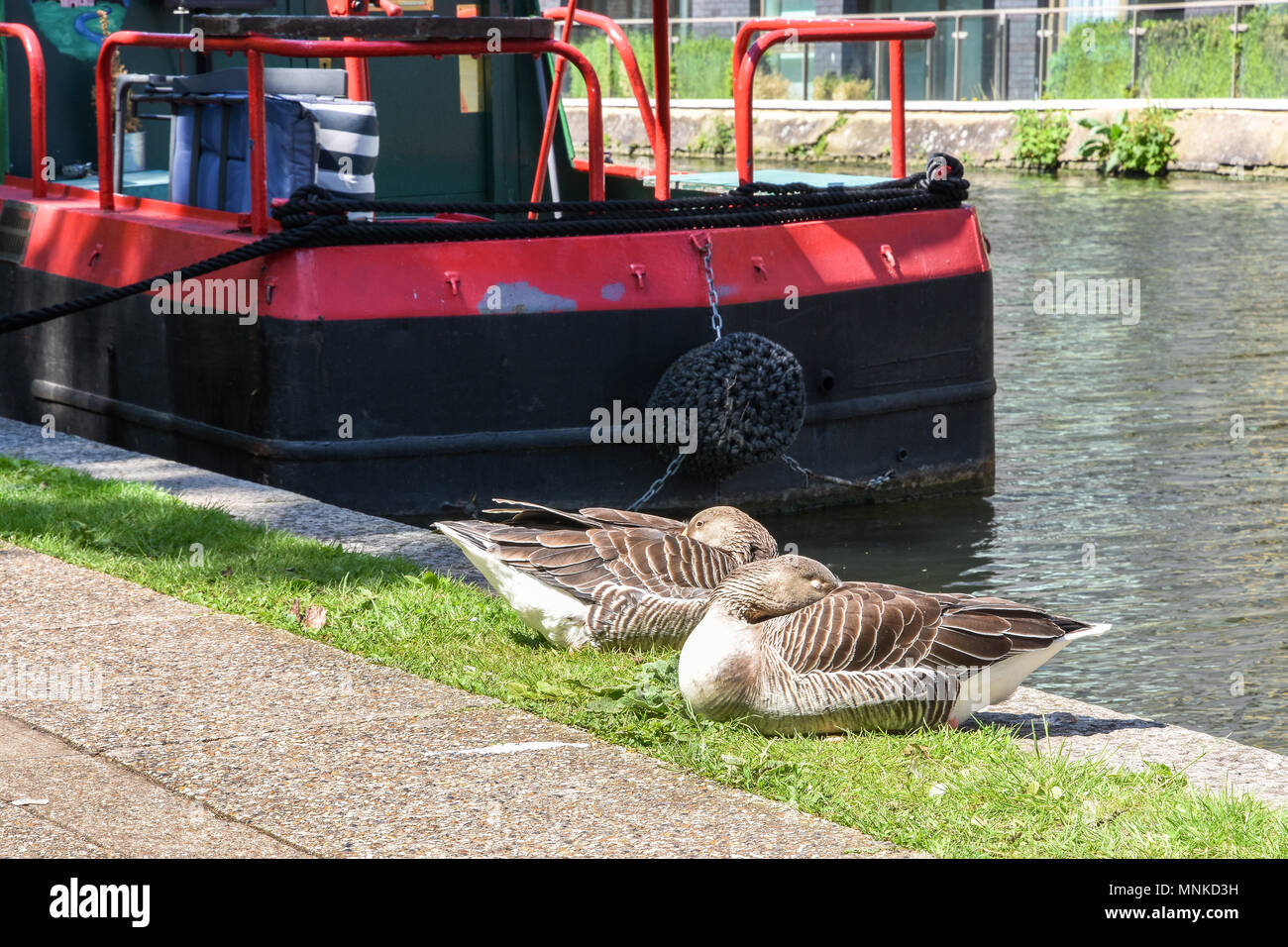 La petite Venise,off Bloomfield Road, de la piscine de la Petite Venise,London.UK Banque D'Images