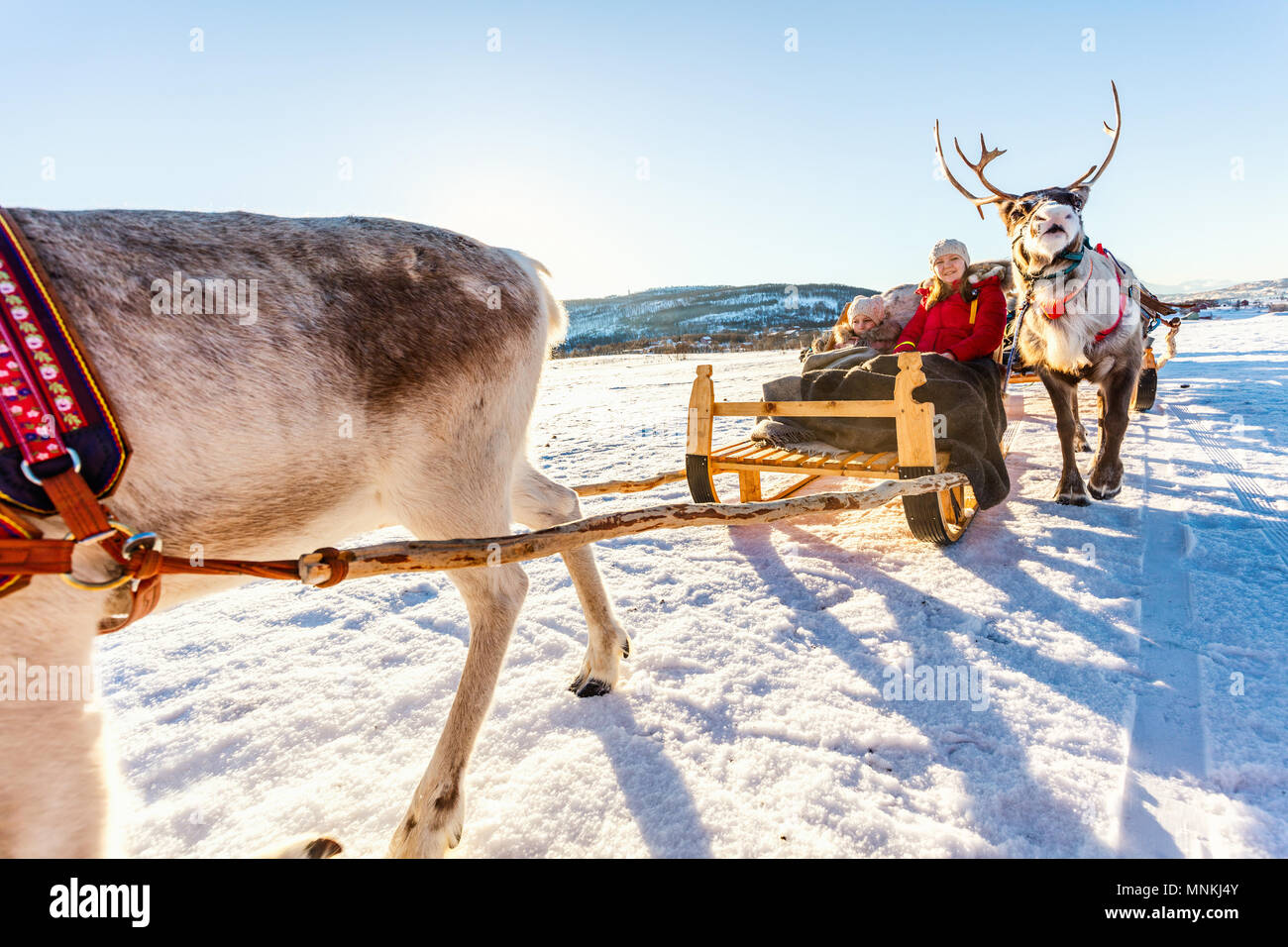 Mère de famille et sa fille à reindeer safari sur journée d'hiver ensoleillée dans le Nord de la Norvège Banque D'Images