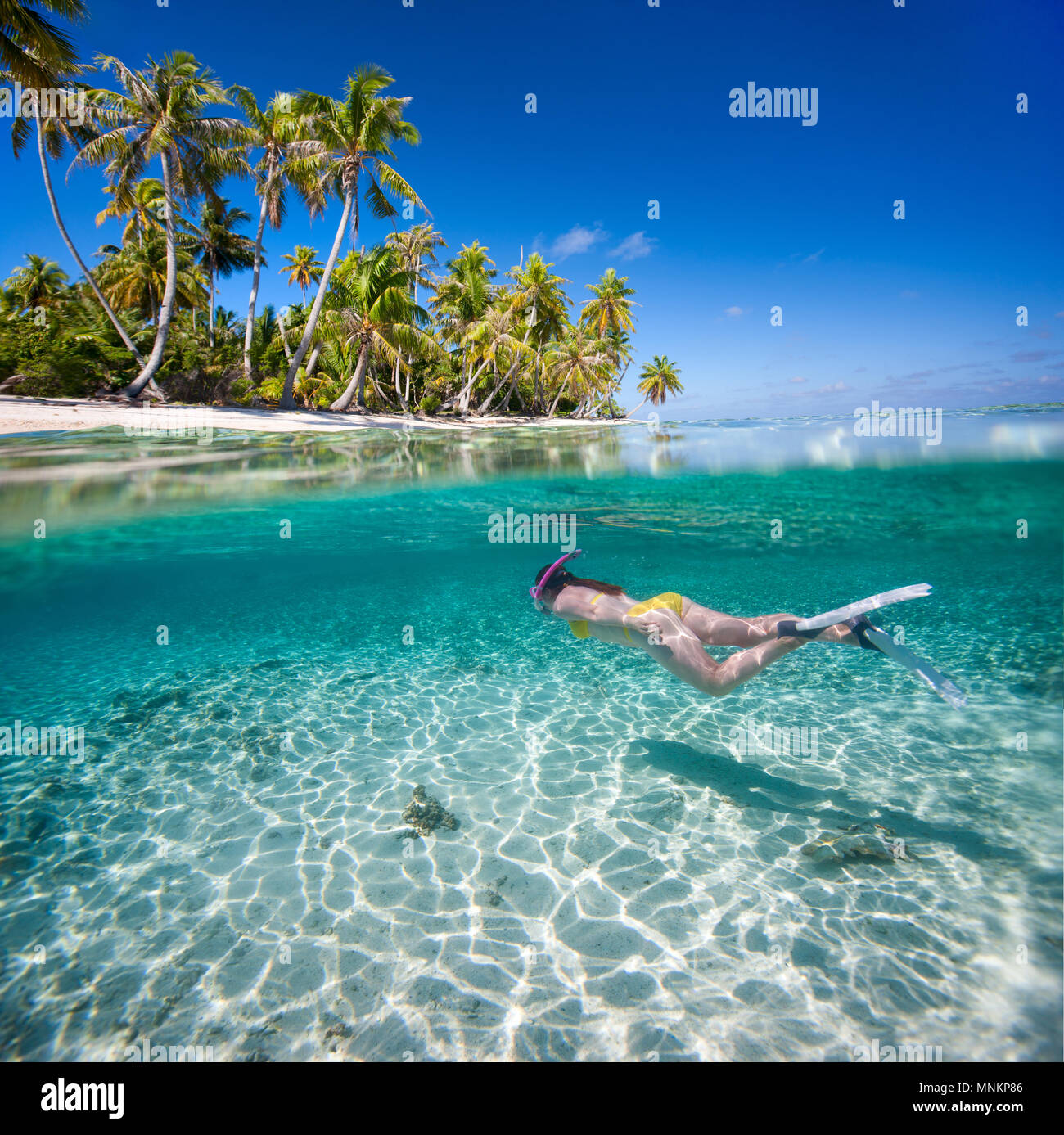 Femme nager sous l'eau claire dans les eaux tropicales, en face de l'île exotique Banque D'Images