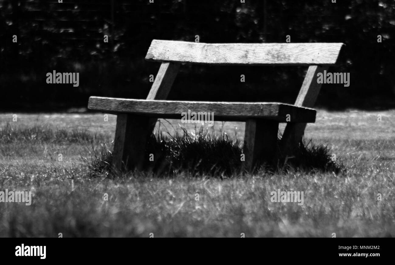 Richmond Park Banque D'Images