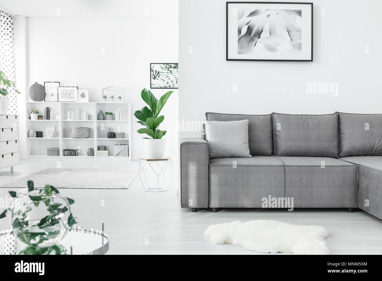L'espace ouvert salon intérieur avec un canapé d'angle gris, de plantes et d'étagères blanches dans l'arrière-plan Banque D'Images