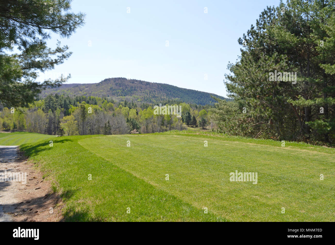 Vue depuis la pièce en t au magnifique parcours de golf dans la région de Lac Ste. Marie, Québec Canada. Banque D'Images