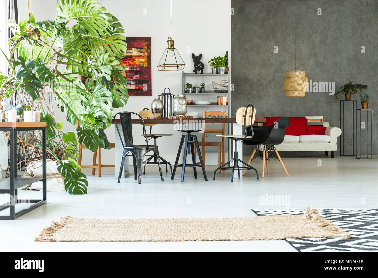Appartement fonctionnel avec table à manger, canapé, fauteuil et monstera plante Banque D'Images