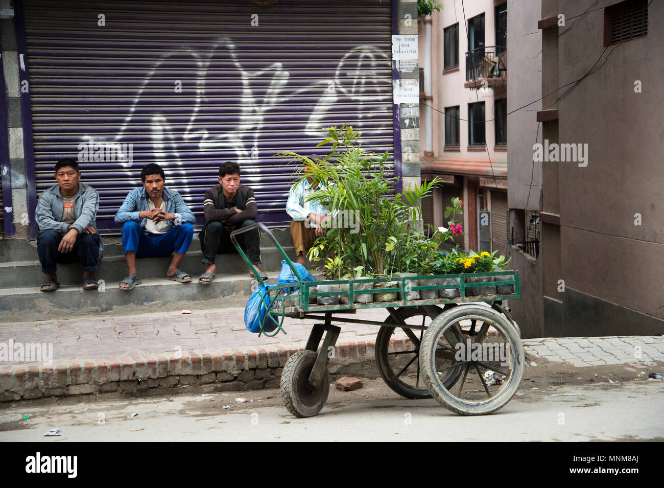 Népal, Katmandou. Boutique de fleurs sur un chariot. Les hommes assis et regarder. Banque D'Images