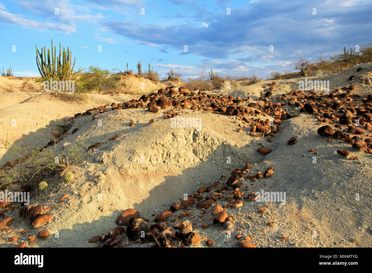 Pierres rondes pose en désert Tatacoa, Neiva, sud de la Colombie Banque D'Images