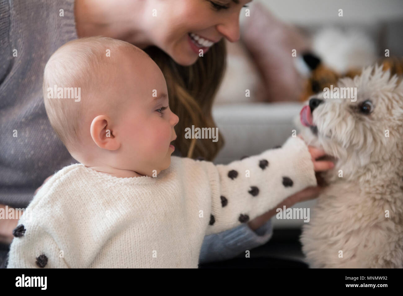 Mère et fille de bébé (18-23 mois) Playing with dog Banque D'Images Mère et fille de bébé (18-23 mois) Playing with dog Banque D'Images