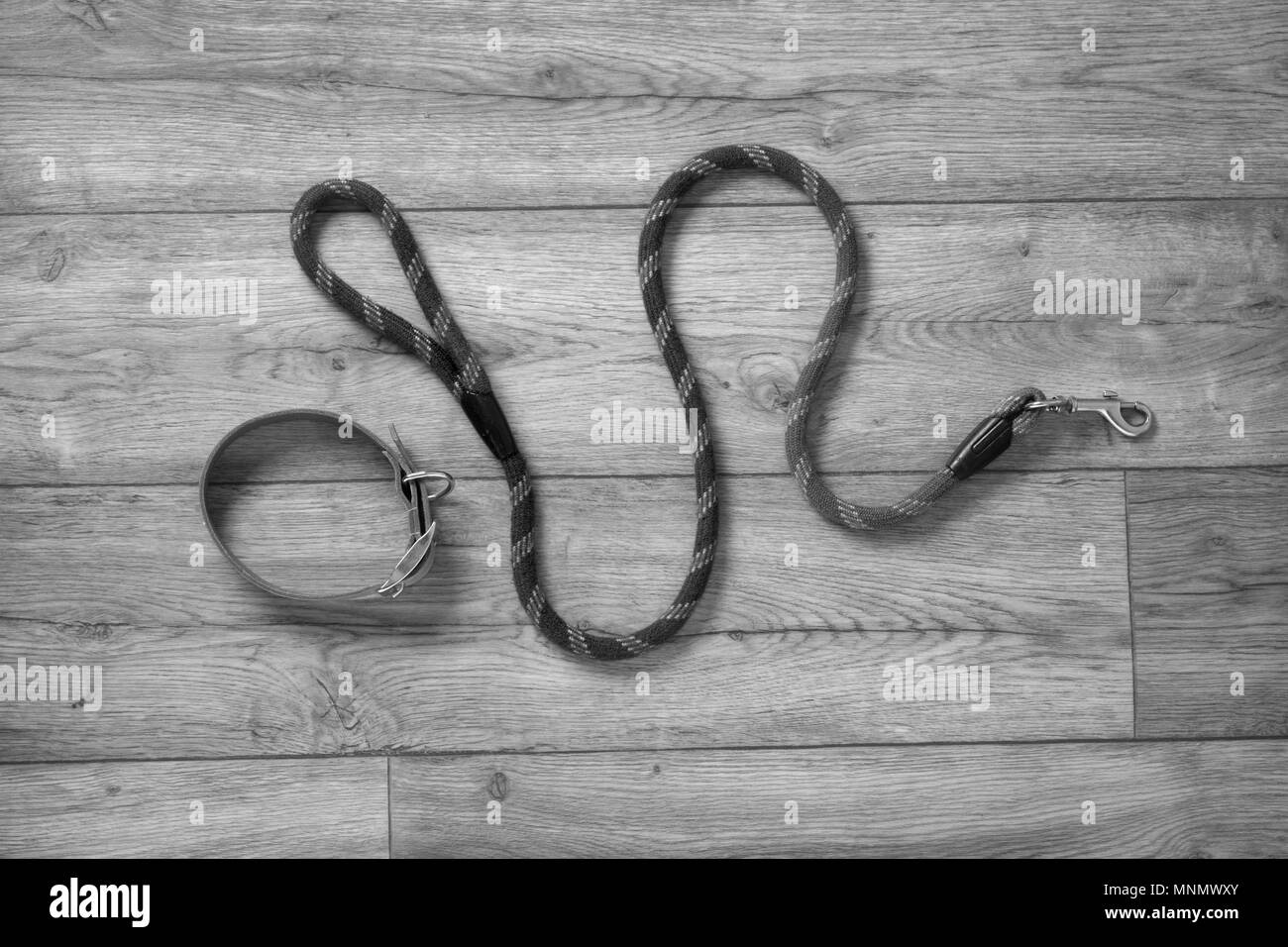 La laisse et le collier sur la table en bois - noir et blanc - libre Banque D'Images