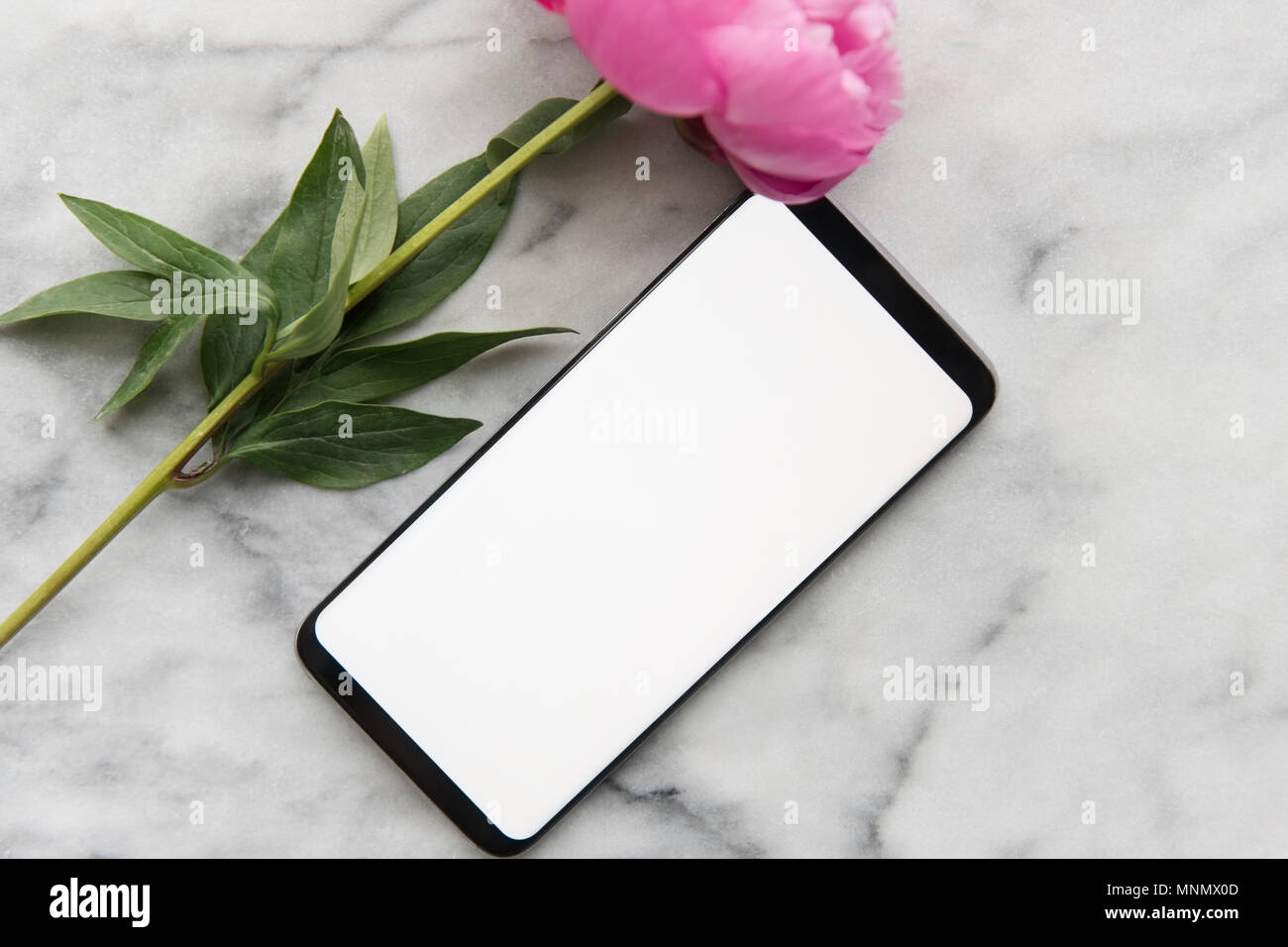 Smart phone et fleurs Banque D'Images Smart phone et fleurs Banque D'Images