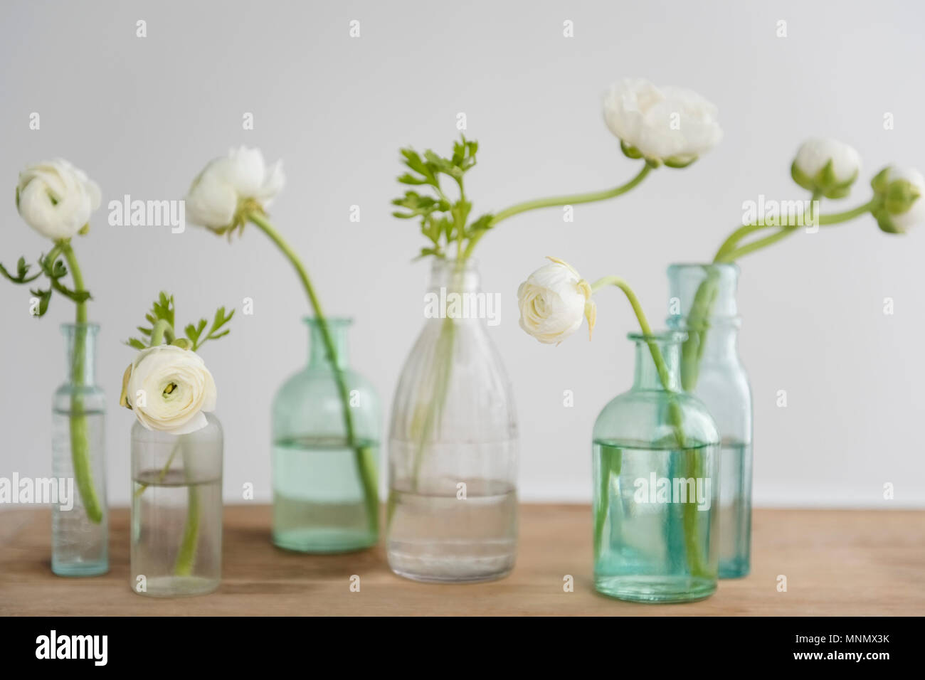 Fleurs blanches en bouteilles sur table en bois Banque D'Images Fleurs blanches en bouteilles sur table en bois Banque D'Images