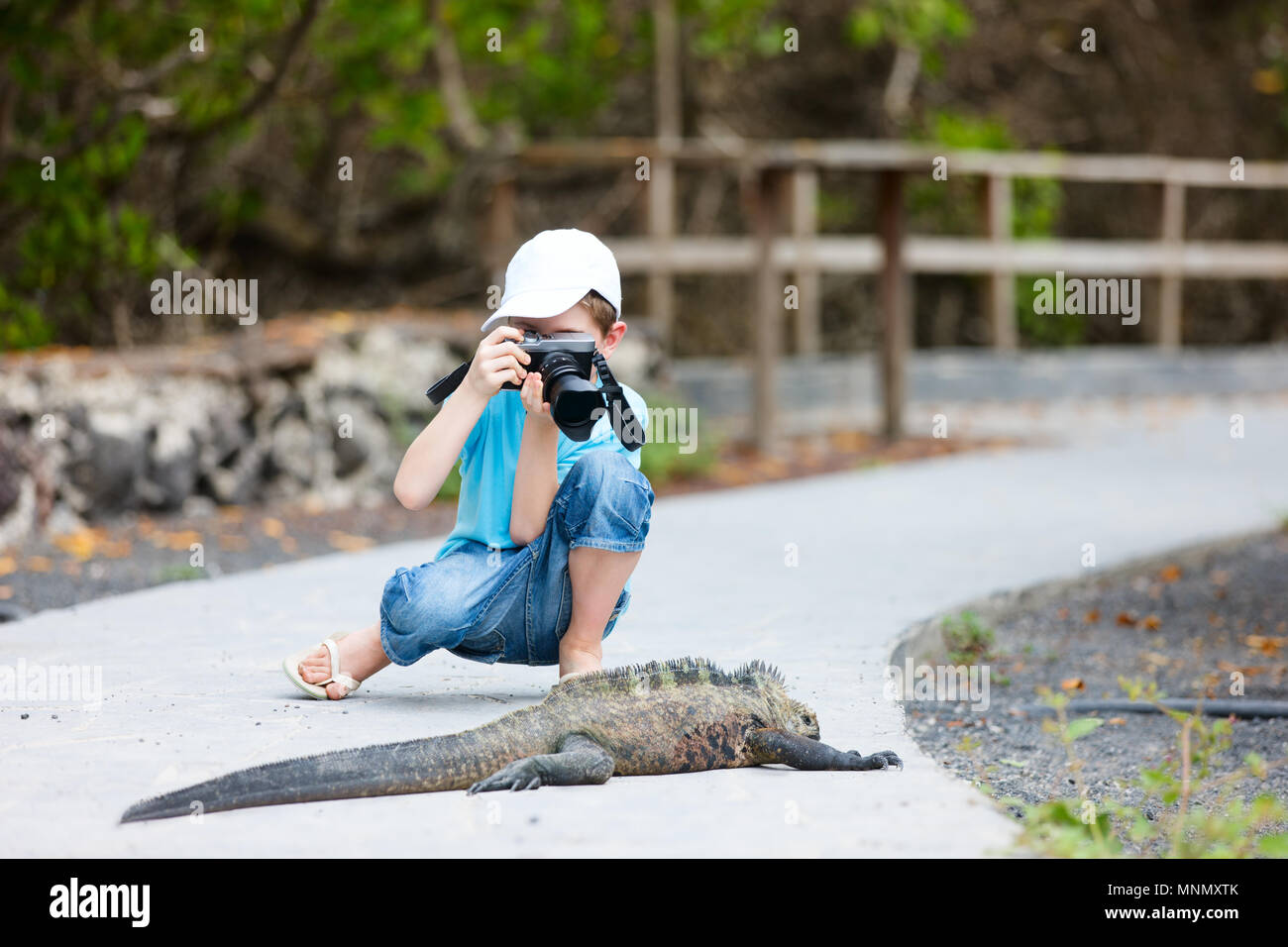 Petit garçon photographiant énorme Iguane marin Banque D'Images