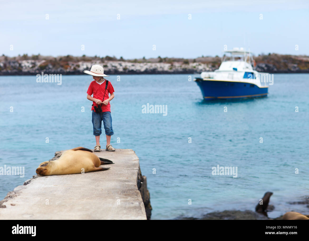 Lion de mer femelles se détendre près d'un garçon à la côte de l'île South Plaza Galápagos Banque D'Images