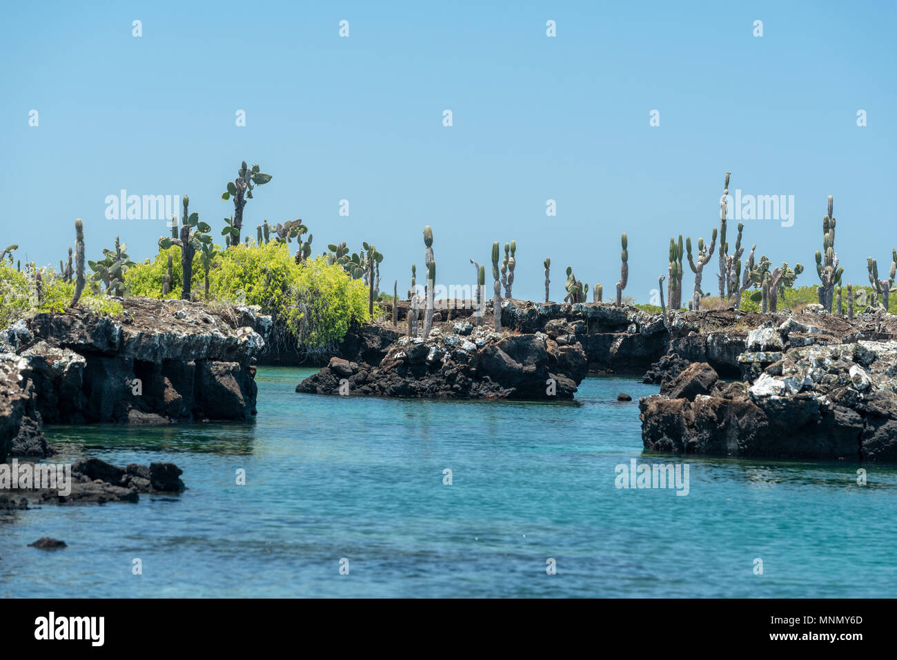 Los Tuneles, ou les tunnels, Isabela Island, îles Galapagos, en Équateur. Banque D'Images