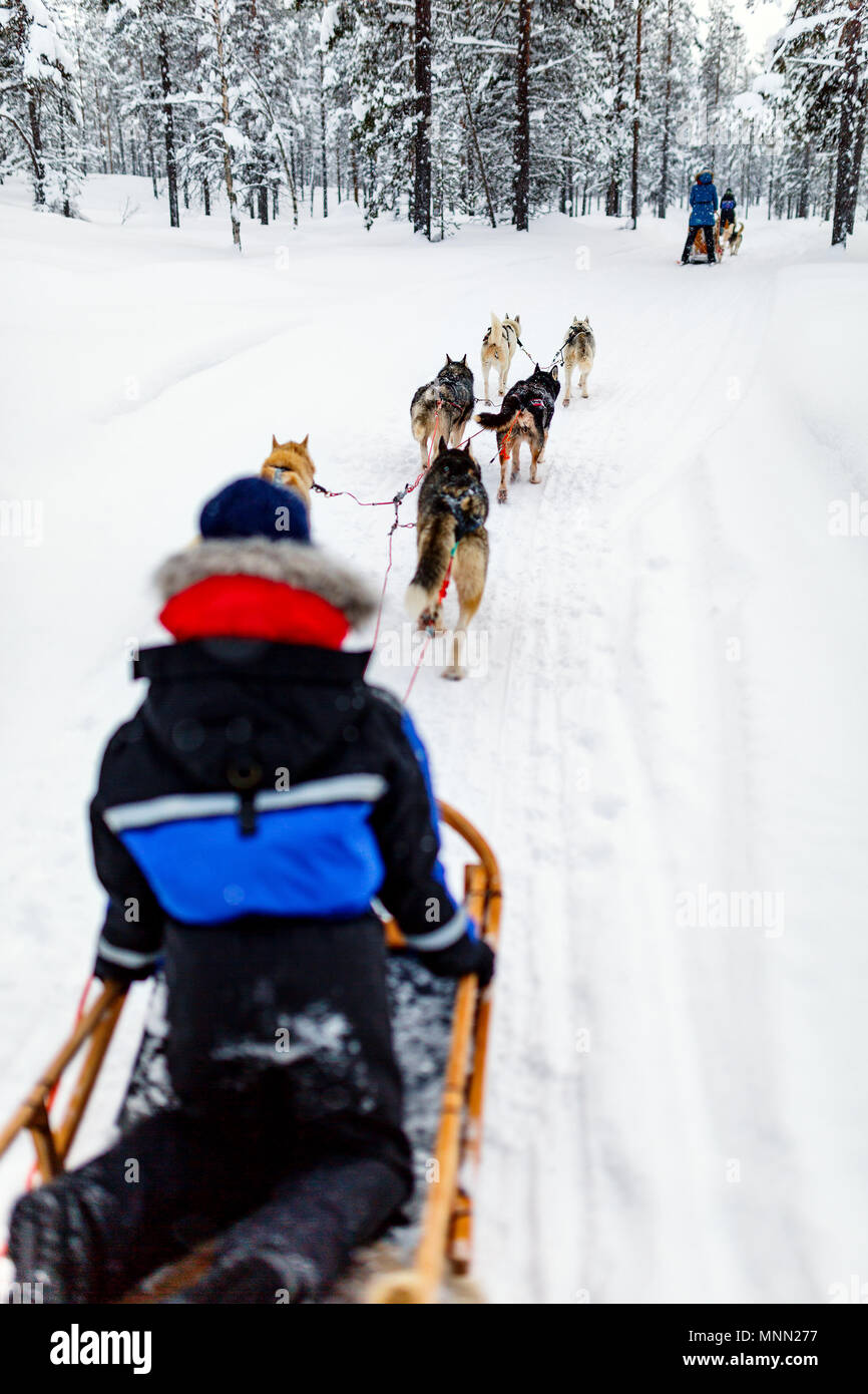 Chiens Husky s'en traîneau avec un enfant de la forêt d'hiver en Laponie, Finlande Banque D'Images