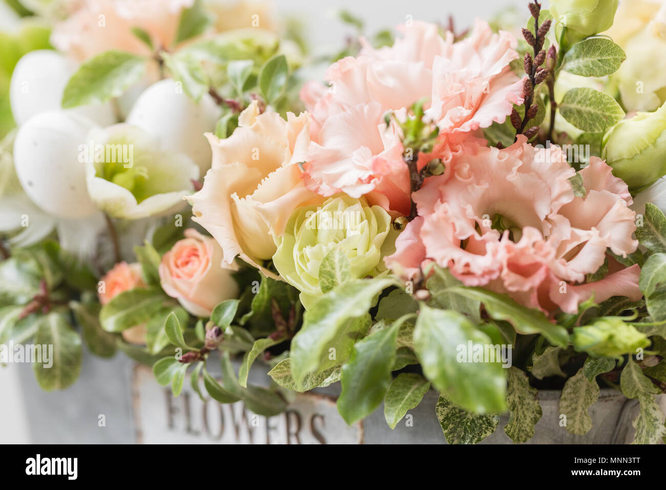 Close-up, fonds d'écran printemps humeur. beau luxe Bouquet de fleurs dans la main. femme le travail de la fleuriste à un magasin de fleur. Photo horizontale Banque D'Images