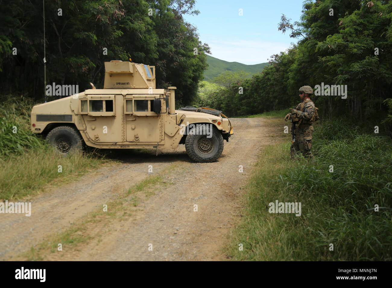 Le Corps des Marines des États-Unis. Andrew Carranza guides au sol une Humvee pilote sur une patrouille au cours de l'effort à Marine Corps Je Bougainville Zone Formation soufflets, 15 mars 2018. Au cours de cet événement de formation, la Marine a effectué des patrouilles montées comme une équipe de l'arme. Bougainville exercice I est utilisé pour former les Marines de lutte au niveau d'petit-unité et renforcer leurs compétences de futurs déploiements. Carranza est un natif de Potsdam (New York). Les marines sont des armes Company, 1er Bataillon, 3d Régiment de Marines. Banque D'Images