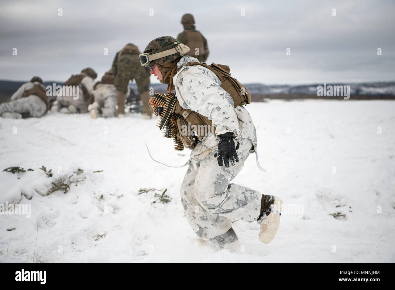 Les Marines américains avec la compagnie Kilo, 3e Bataillon, 8e Régiment de Marines, de mener un exercice de tir réel interarmes, l'événement culminant de Artic Edge 2018, à Fort Greely, en Alaska, le 15 mars 2018. Les marines participent à l'Arctic Edge 2018 dans le cadre de la composante terrestre des Forces conjointes menées par l'armée américaine de l'Alaska. Arctic Edge 18 est une bi, à grande échelle, de l'exercice de formation qui prépare et teste la capacité de l'armée américaine pour l'exploitation dans le plan tactique par temps froid extrême conditions trouvées dans les milieux arctiques avec plus de 1500 participants de l'Armée de l'air, de l'armée, de la Garde côtière, Mar Banque D'Images