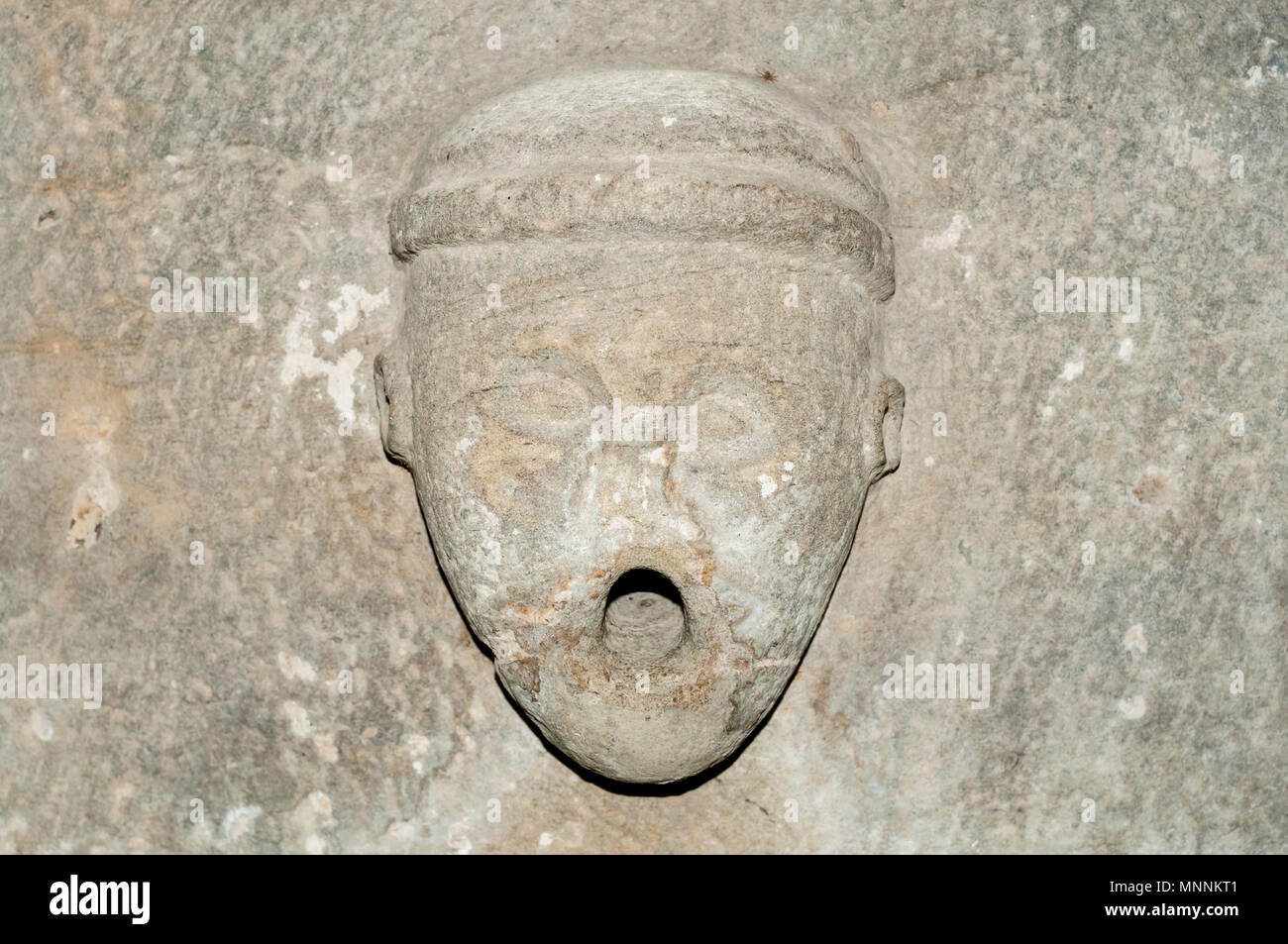 Visage sculpté dans la roche, l'eau, fontaine, Gérone, Catalogne, Espagne Banque D'Images