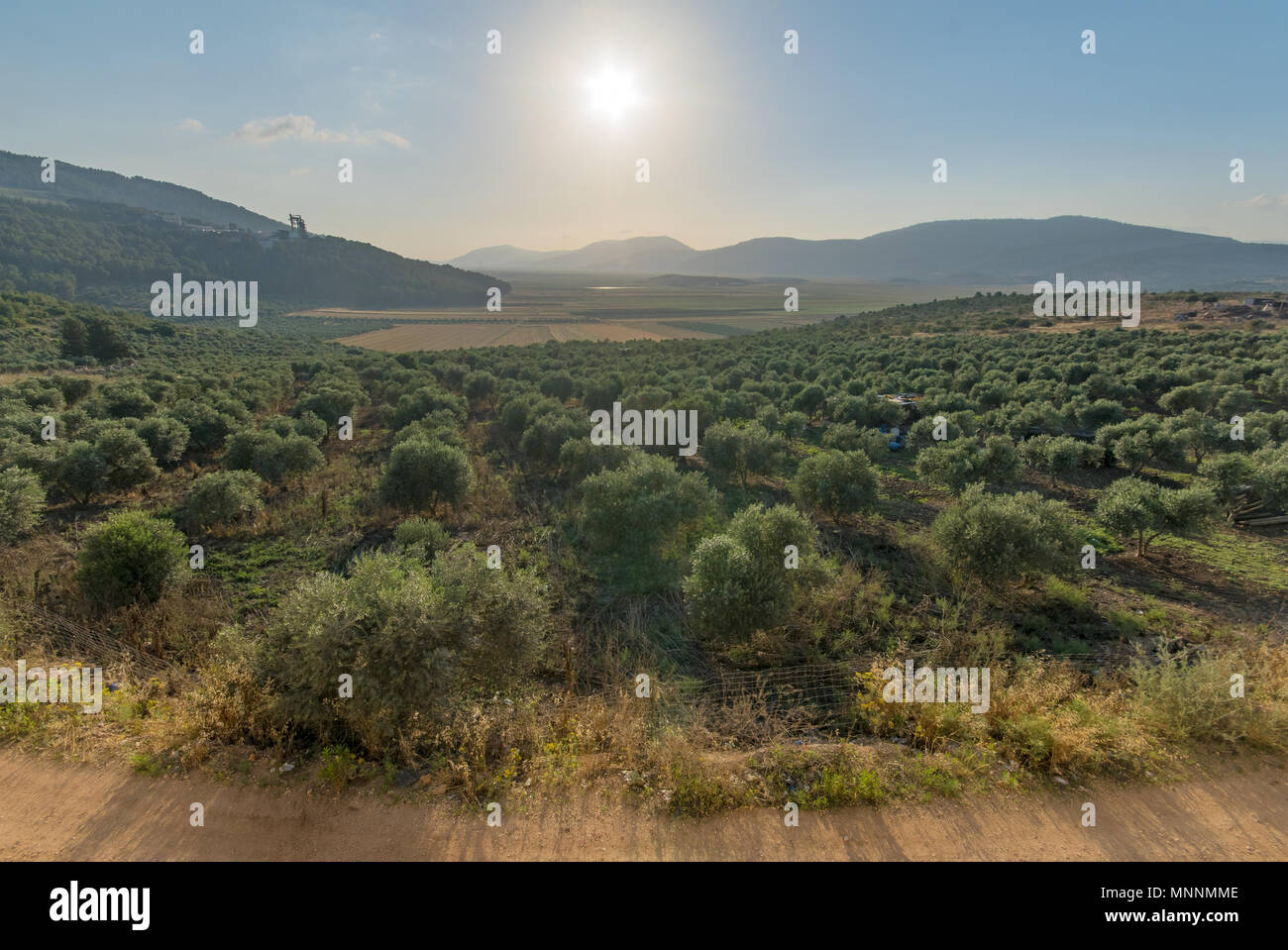 Paysage et campagne dans la vallée de Netofa dans la basse Galilée, dans le nord d'Israël Banque D'Images