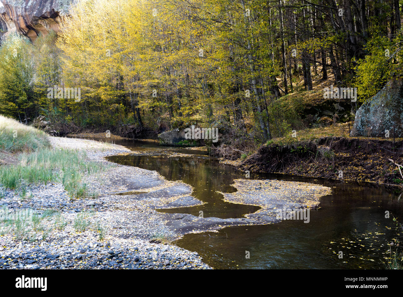 Les feuilles d'automne et la rivière Banque D'Images